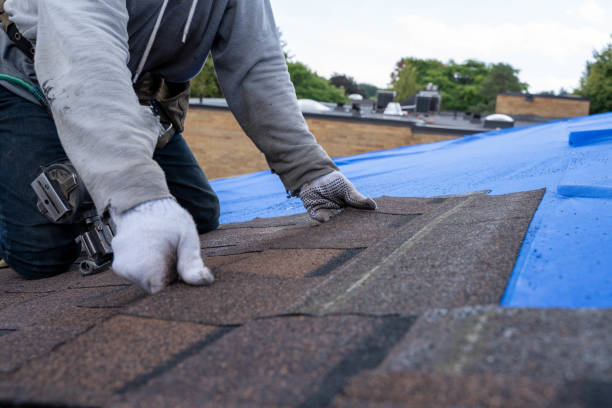 Sheet Metal Roofing in Sitka, AK